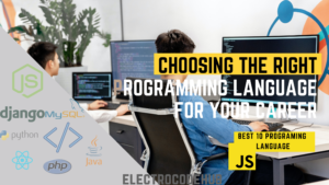 How to choose a right programming for your career growth? It dives deep into different elements, some of which involve your own likes/dislikes